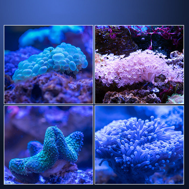 LED Full Spectrum Fish Tank Coral Light